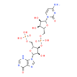 ChemSpider 2D Image | [(2R,3S,4R,5R)-3-{[{[(2R,3S,4R,5R)-5-(4-Amino-2-oxo-1(2H)-pyrimidinyl)-3,4-dihydroxytetrahydro-2-furanyl]methoxy}(hydroxy)phosphoryl]oxy}-4-hydroxy-5-(6-oxo-3,6-dihydro-9H-purin-9-yl)tetrahydro-2-fura
nyl]methyl dihydrogen phosphate | C19H25N7O15P2