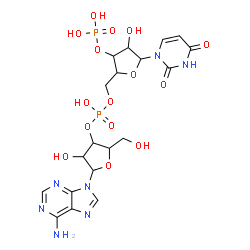 ChemSpider 2D Image | [5-(6-aminopurin-9-yl)-4-hydroxy-2-(hydroxymethyl)tetrahydrofuran-3-yl] [5-(2,4-dioxopyrimidin-1-yl)-4-hydroxy-3-phosphonooxy-tetrahydrofuran-2-yl]methyl hydrogen phosphate | C19H25N7O15P2