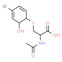 ChemSpider 2D Image | N-Acetyl-S-(2-hydroxy-4-bromocyclohexa-3,5-dienyl)cysteine | C11H14BrNO4S