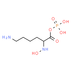 ChemSpider 2D Image | 6-Amino-2-(hydroxyamino)hexanoyl dihydrogen phosphate | C6H15N2O6P