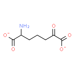 ChemSpider 2D Image | 2-Amino-6-ketopimelate | C7H9NO5