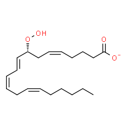 ChemSpider 2D Image | (5Z,8R,9E,11Z,14Z)-8-Hydroperoxy-5,9,11,14-icosatetraenoate | C20H31O4