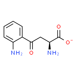 ChemSpider 2D Image | (S)-a,2-diamino-g-oxo-Benzenebutanoate | C10H11N2O3