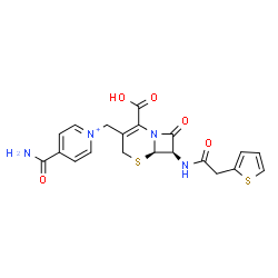 ChemSpider 2D Image | 4-Carbamoyl-1-({(6R,7R)-2-carboxy-8-oxo-7-[(2-thienylacetyl)amino]-5-thia-1-azabicyclo[4.2.0]oct-2-en-3-yl}methyl)pyridinium | C20H19N4O5S2