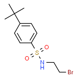 ChemSpider 2D Image | N-(2-Bromoethyl)-4-(2-methyl-2-propanyl)benzenesulfonamide | C12H18BrNO2S