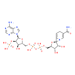 ChemSpider 2D Image | 9-{5-O-[{[{[(3'R,4'S,5'R,7R)-3-Carbamoyl-3',4'-dihydroxy-4',5'-dihydro-3'H-spiro[1-azabicyclo[4.1.0]hepta-2,5-diene-7,2'-furan]-5'-yl]methoxy}(hydroxy)phosphoryl]oxy}(hydroxy)phosphoryl]-2-O-phosphono
-alpha-D-ribofuranosyl}-9H-purin-6-amine | C21H28N7O17P3