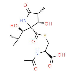 ChemSpider 2D Image | N-Acetyl-S-({(2R,3S,4R)-3-hydroxy-2-[(1R)-1-hydroxy-2-methylpropyl]-4-methyl-5-oxo-2-pyrrolidinyl}carbonyl)-L-cysteine | C15H24N2O7S