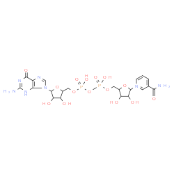 ChemSpider 2D Image | [5-(2-amino-6-oxo-3H-purin-9-yl)-3,4-dihydroxy-tetrahydrofuran-2-yl]methyl [[5-(3-carbamoyl-1-pyridyl)-3,4-dihydroxy-tetrahydrofuran-2-yl]methoxy-hydroxy-phosphoryl] hydrogen phosphate | C21H28N7O15P2