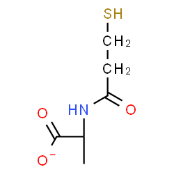 ChemSpider 2D Image | 2-[(3-Sulfanylpropanoyl)amino]propanoate | C6H10NO3S