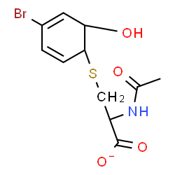 ChemSpider 2D Image | 2-Acetamido-3-[(4-bromo-6-hydroxy-2,4-cyclohexadien-1-yl)sulfanyl]propanoate | C11H13BrNO4S