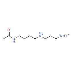ChemSpider 2D Image | N-(4-Acetamidobutyl)-1,3-propanediaminium | C9H23N3O