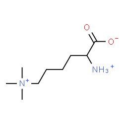 ChemSpider 2D Image | 2-Ammonio-6-(trimethylammonio)hexanoate | C9H21N2O2