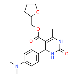 ChemSpider 2D Image | Tetrahydro-2-furanylmethyl 4-[4-(dimethylamino)phenyl]-6-methyl-2-oxo-1,2,3,4-tetrahydro-5-pyrimidinecarboxylate | C19H25N3O4