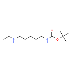 ChemSpider 2D Image | TERT-BUTYL N-[5-(ETHYLAMINO)PENTYL]CARBAMATE | C12H26N2O2