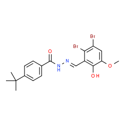 ChemSpider 2D Image | 4-tert-Butyl-N'-[(E)-(2,3-dibromo-6-hydroxy-5-methoxyphenyl)methylene]benzohydrazide | C19H20Br2N2O3