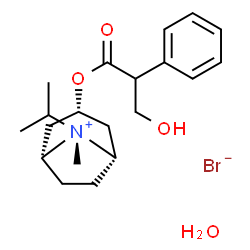 ChemSpider 2D Image | ipratropium bromide hydrate | C20H32BrNO4