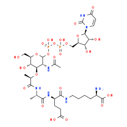 ChemSpider 2D Image | (2R)-6-{[(2R)-2-{[(2S)-2-{[(2R)-2-{[(3R,4R,5S,6R)-3-Acetamido-2-{[{[{[(2R,3S,4R,5R)-5-(2,4-dioxo-3,4-dihydro-1(2H)-pyrimidinyl)-3,4-dihydroxytetrahydro-2-furanyl]methoxy}(hydroxy)phosphoryl]oxy}(hydro
xy)phosphoryl]oxy}-5-hydroxy-6-(hydroxymethyl)tetrahydro-2H-pyran-4-yl]oxy}propanoyl]amino}propanoyl]amino}-4-carboxybutanoyl]amino}-2-aminohexanoic acid | C34H55N7O24P2