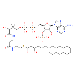 ChemSpider 2D Image | 3-hydroxyicosanoyl-CoA | C41H74N7O18P3S