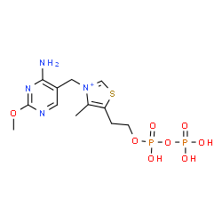 ChemSpider 2D Image | 3-[(4-Amino-2-methoxy-5-pyrimidinyl)methyl]-5-(2-{[hydroxy(phosphonooxy)phosphoryl]oxy}ethyl)-4-methyl-1,3-thiazol-3-ium | C12H19N4O8P2S