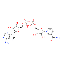 ChemSpider 2D Image | [[(2R,3S,4S,5R)-5-(6-aminopurin-9-yl)-3,4-dihydroxy-tetrahydrofuran-2-yl]methoxy-hydroxy-phosphoryl] [(2R,3S,4R,5R)-5-(3-carbamoylpyridin-1-ium-1-yl)-3,4-dihydroxy-tetrahydrofuran-2-yl]methyl hydrogen phosphate | C21H28N7O14P2