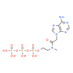 ChemSpider 2D Image | Triphosphoric acid, mono[2-[[2-(6-amino-9H-purin-9-yl)acetyl]methylamino]ethyl] ester | C10H17N6O11P3