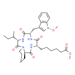 ChemSpider 2D Image | Methyl 6-{(3S,6S,9S,15aR)-9-[(2R)-2-butanyl]-6-[(1-methoxy-1H-indol-3-yl)methyl]-1,4,7,10-tetraoxotetradecahydro-2H-pyrido[1,2-a][1,4,7,10]tetraazacyclododecin-3-yl}hexanoate | C33H47N5O7