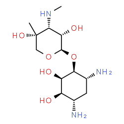 ChemSpider 2D Image | (1S,2R,3R,4S,6R)-4,6-Diamino-2,3-dihydroxycyclohexyl 3-deoxy-4-C-methyl-3-(methylamino)-beta-L-ribopyranoside | C13H27N3O6