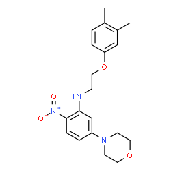 ChemSpider 2D Image | N-[2-(3,4-Dimethylphenoxy)ethyl]-5-(4-morpholinyl)-2-nitroaniline | C20H25N3O4