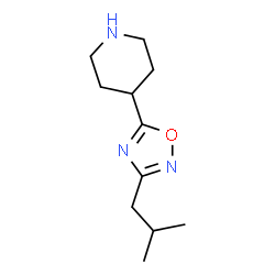 ChemSpider 2D Image | 4-(3-Isobutyl-1,2,4-oxadiazol-5-yl)piperidine | C11H19N3O