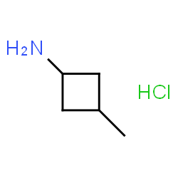 ChemSpider 2D Image | 3-Methylcyclobutanamine hydrochloride (1:1) | C5H12ClN