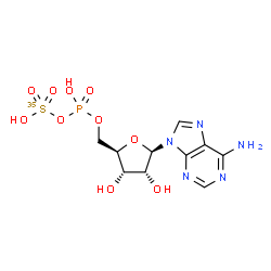 ChemSpider 2D Image | 5'-O-{Hydroxy[(~35~S)sulfooxy]phosphoryl}adenosine | C10H14N5O10P35S