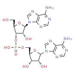 ChemSpider 2D Image | [(2R,3S,4R)-5-(6-Amino-9H-purin-9-yl)-3,4-dihydroxytetrahydro-2-furanyl]methyl (2R,3S,4R,5R)-5-(6-amino-9H-purin-9-yl)-4-hydroxy-2-(hydroxymethyl)tetrahydro-3-furanyl hydrogen phosphate (non-preferred
 name) | C20H25N10O10P