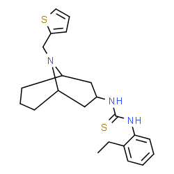 ChemSpider 2D Image | 1-(2-Ethylphenyl)-3-[9-(2-thienylmethyl)-9-azabicyclo[3.3.1]non-3-yl]thiourea | C22H29N3S2