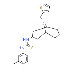 ChemSpider 2D Image | 1-(3,4-Dimethylphenyl)-3-[9-(2-thienylmethyl)-9-azabicyclo[3.3.1]non-3-yl]thiourea | C22H29N3S2