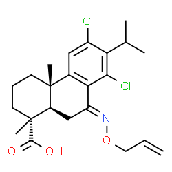 ChemSpider 2D Image | (7E)-7-[(Allyloxy)imino]-12,14-dichloroabieta-8,11,13-trien-18-oic acid | C23H29Cl2NO3