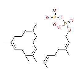 ChemSpider 2D Image | Diphosphoric acid, mono[(2Z,6E,10Z,14Z)-3,7,11,15,19-pentamethyl-2,6,10,14,18-eicosapentaen-1-yl] ester, ion(3-) | C25H41O7P2