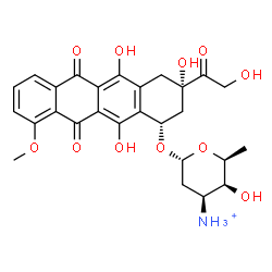 ChemSpider 2D Image | (1S,3S)-3-Glycoloyl-3,5,12-trihydroxy-10-methoxy-6,11-dioxo-1,2,3,4,6,11-hexahydro-1-tetracenyl 3-ammonio-2,3,6-trideoxy-alpha-L-lyxo-hexopyranoside | C27H30NO11
