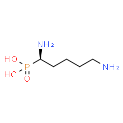 ChemSpider 2D Image | [(1R)-1,5-Diaminopentyl]phosphonic acid | C5H15N2O3P