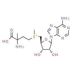 ChemSpider 2D Image | (3-Amino-3-carboxybutyl){[(2S,3S,4R)-5-(6-amino-9H-purin-9-yl)-3,4-dihydroxytetrahydro-2-furanyl]methyl}methylsulfonium | C16H25N6O5S