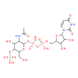 ChemSpider 2D Image | 3-Acetamido-4-hydroxy-6-(hydroxymethyl)-5-(sulfooxy)tetrahydro-2H-pyran-2-yl-[5-(2,4-dioxo-3,4-dihydro-1(2H)-pyrimidinyl)-3,4-dihydroxytetrahydro-2-furanyl]methyldihydrogen-diphosphat | C17H27N3O20P2S
