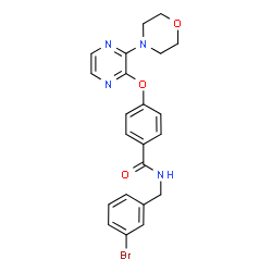ChemSpider 2D Image | N-(3-Bromobenzyl)-4-{[3-(4-morpholinyl)-2-pyrazinyl]oxy}benzamide | C22H21BrN4O3