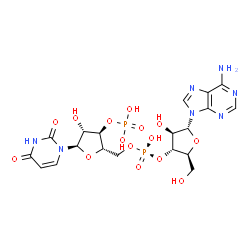 ChemSpider 2D Image | adenylyl-3'-5'-phospho-uridine-3'-monophosphate | C19H25N7O15P2