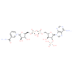 ChemSpider 2D Image | 2'-monophosphoadenosine 5'-diphosphoribose | C21H28N7O17P3