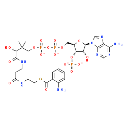 ChemSpider 2D Image | Adenosine, 5'-O-[[[[(3R)-4-[[3-[[2-[(2-aminobenzoyl)thio]ethyl]amino]-3-oxopropyl]amino]-3-hydroxy-2,2-dimethyl-4-oxobutoxy]hydroxyphosphinyl]oxy]hydroxyphosphinyl]-, 3'-(dihydrogen phosphate), ion(4-
) | C28H37N8O17P3S