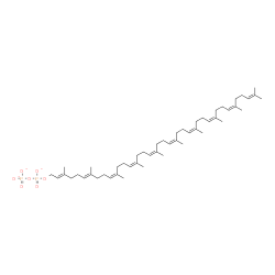 ChemSpider 2D Image | Diphosphoric acid, mono[(2E,6E,10Z,14Z,18Z,22Z,26Z,30Z,34Z)-3,7,11,15,19,23,27,31,35,39-decamethyl-2,6,10,14,18,22,26,30,34,38-tetracontadecaen-1-yl] ester, ion(3-) | C50H81O7P2