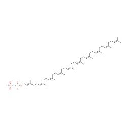 ChemSpider 2D Image | Diphosphoric acid, mono[(2E,6Z,10Z,14Z,18Z,22Z,26Z,30Z,34Z)-3,7,11,15,19,23,27,31,35,39-decamethyl-2,6,10,14,18,22,26,30,34,38-tetracontadecaen-1-yl] ester, ion(3-) | C50H81O7P2