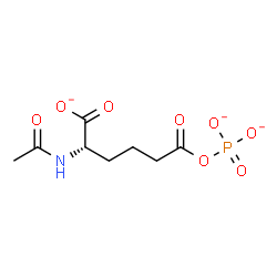 ChemSpider 2D Image | (2S)-2-Acetamido-6-oxo-6-(phosphonatooxy)hexanoate | C8H11NO8P