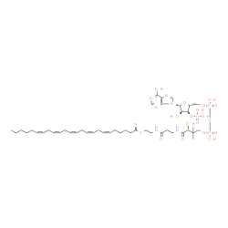 ChemSpider 2D Image | (6Z,9Z,12Z,15Z,18Z)-tetracosapentaenoyl-CoA | C45H72N7O17P3S