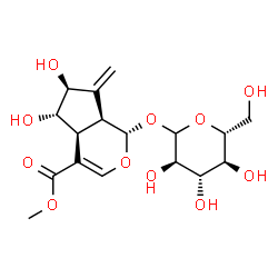 ChemSpider 2D Image | Methyl (1S,4aS,5S,6S,7aS)-1-(D-glucopyranosyloxy)-5,6-dihydroxy-7-methylene-1,4a,5,6,7,7a-hexahydrocyclopenta[c]pyran-4-carboxylate | C17H24O11