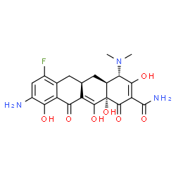 ChemSpider 2D Image | (4S,4aS,5aR,12aS)-9-Amino-4-(dimethylamino)-7-fluoro-3,10,12,12a-tetrahydroxy-1,11-dioxo-1,4,4a,5,5a,6,11,12a-octahydro-2-tetracenecarboxamide | C21H22FN3O7